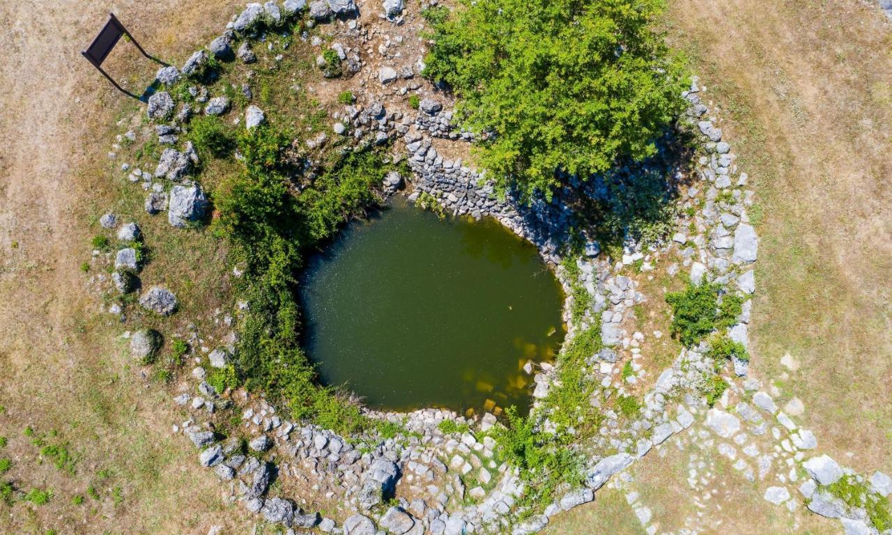 Villa Majkovica Orasac Εξωτερικό φωτογραφία